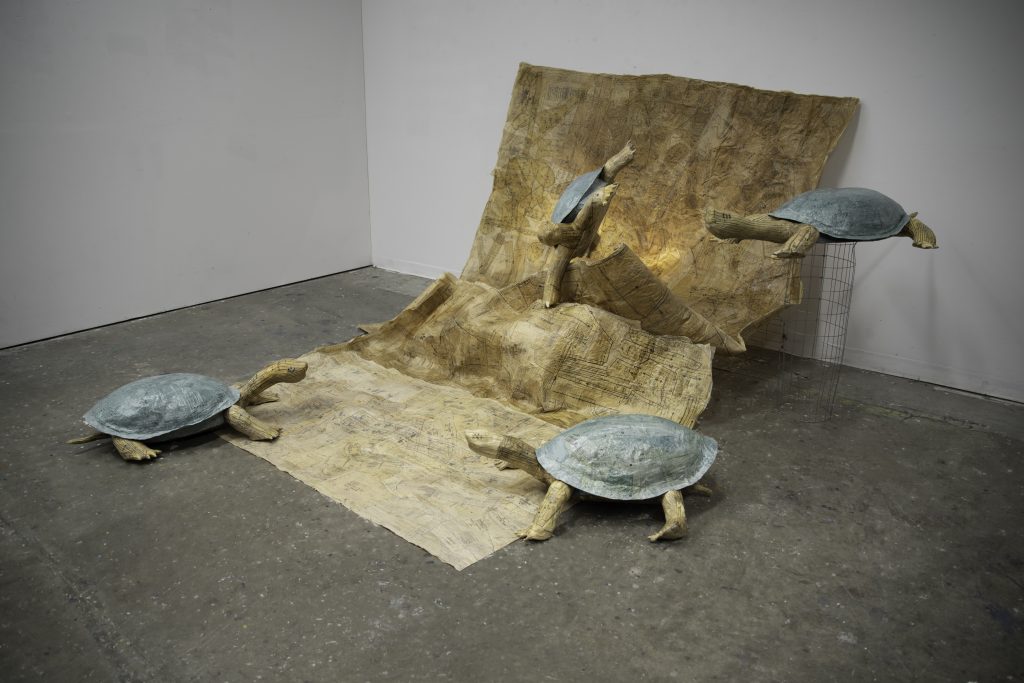 turtles