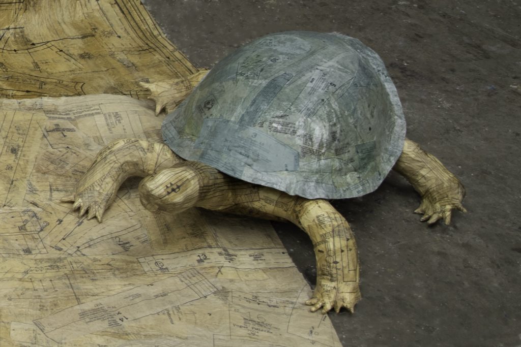 turtles